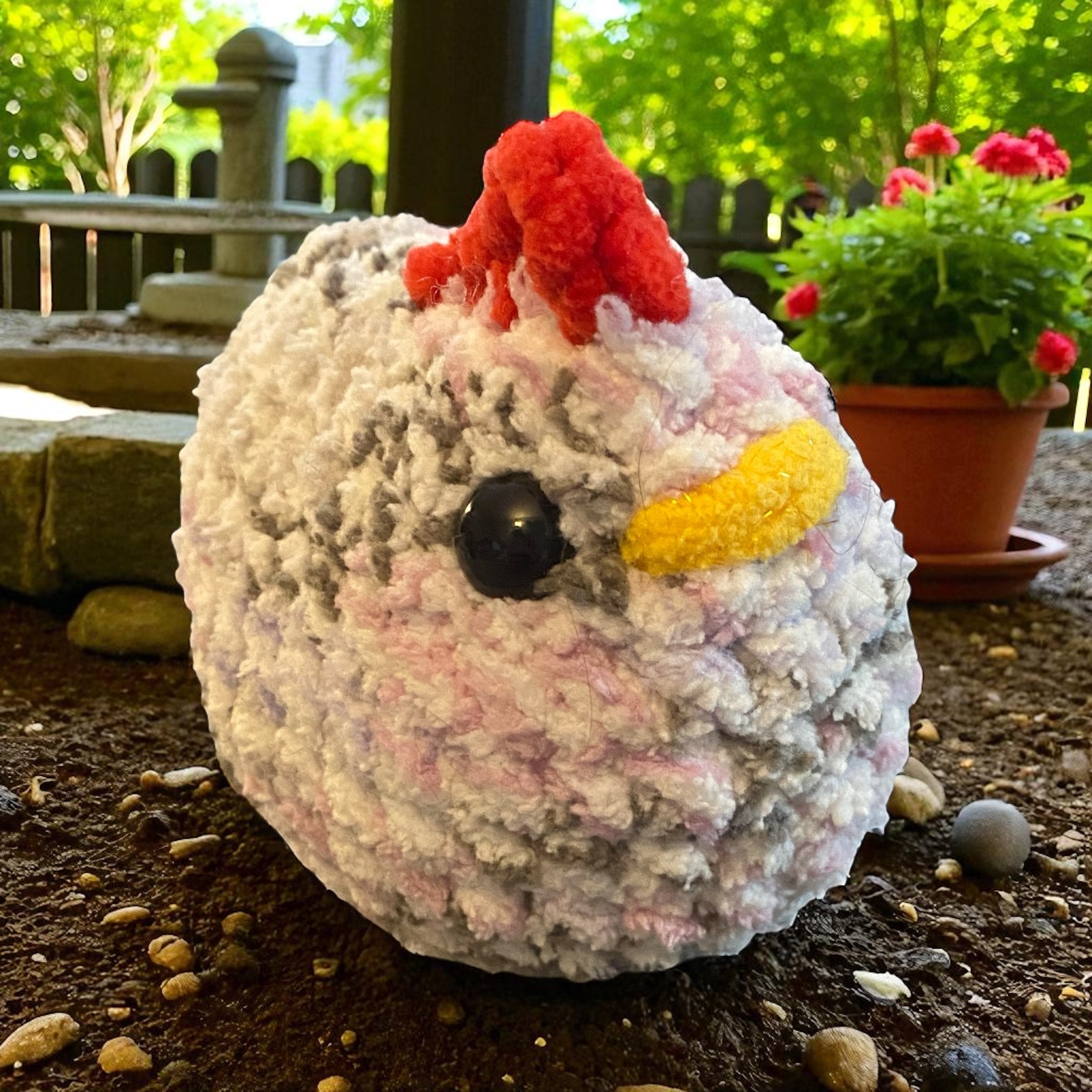 Chicken