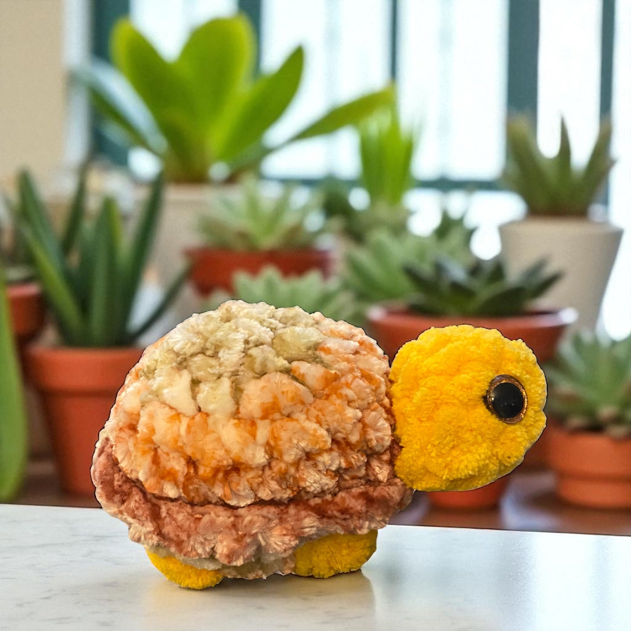 Mini Turtle