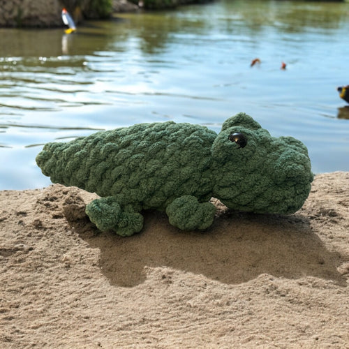 Baby Gator