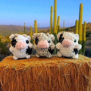 Mini Cow