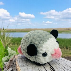 Opossum